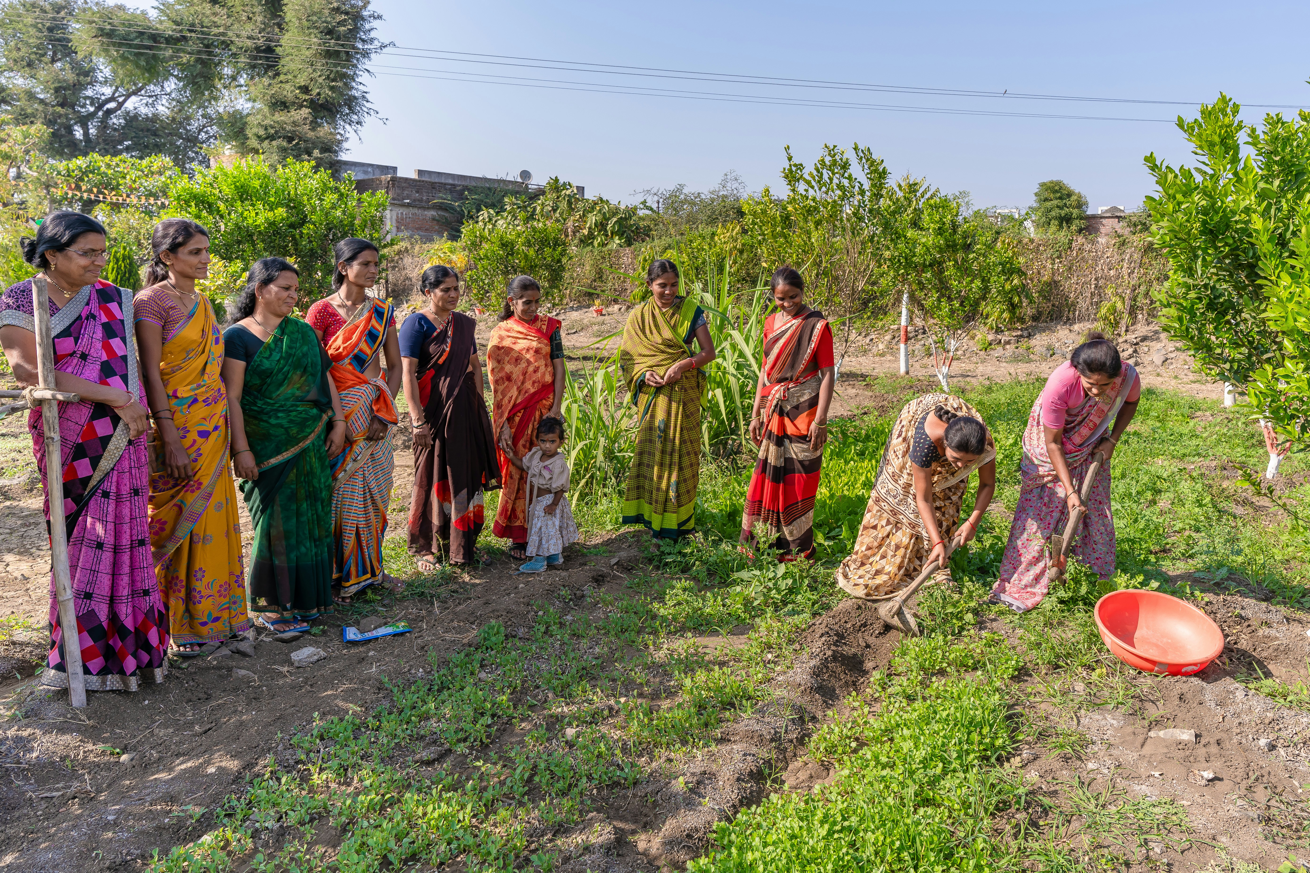 Solar lantern handover — Shama